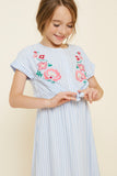 G4566-SKY Stripe Floral Embroidered Mini Tie-Front Dress Alternate Angle